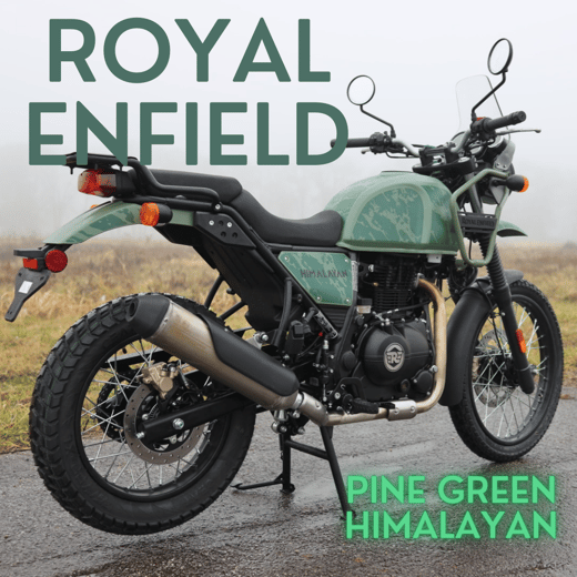 PineGreenHimalayanSALE